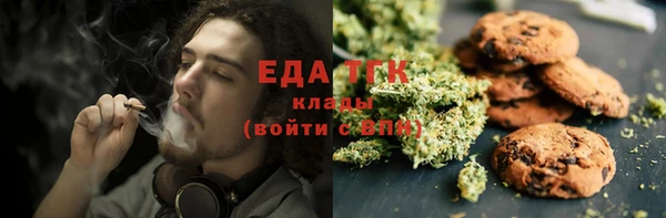 стафф Касимов