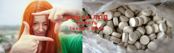 стафф Касимов