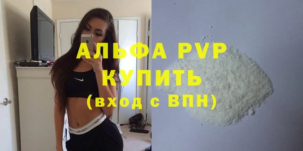 стафф Касимов
