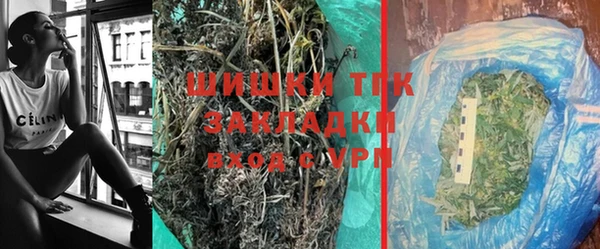 хмурый Карпинск