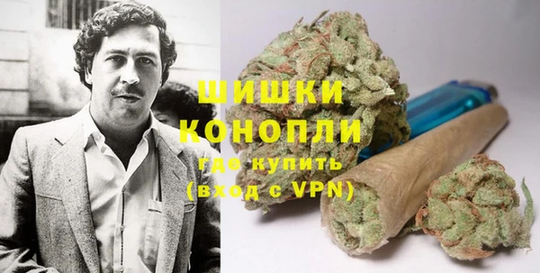 стафф Касимов