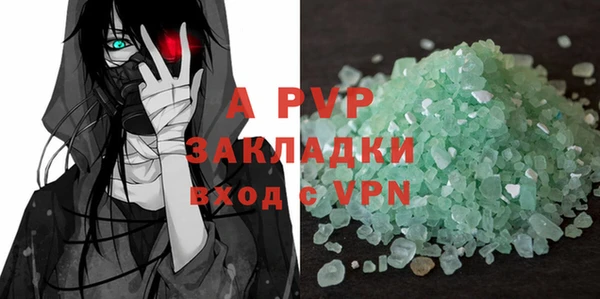 стафф Касимов