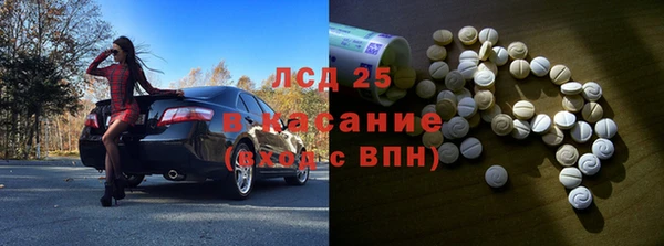 стафф Касимов